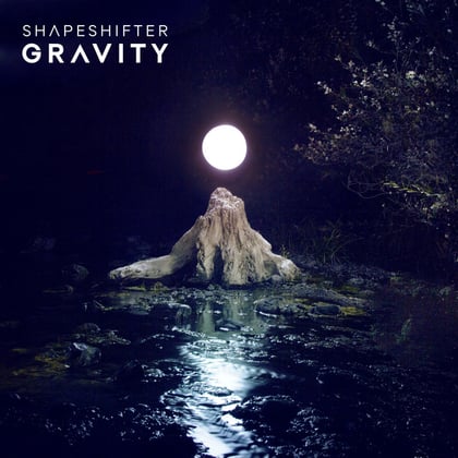 Gravity album by Shapeshifter & Terminus - Drum and Bass Cover Art