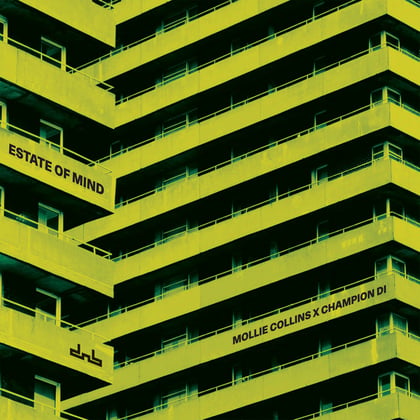 Estate Of Mind album by Mollie Collins - Drum and Bass Cover Art