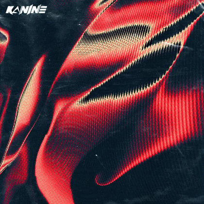 Set It Off / The Weapon album by Kanine - Drum and Bass Cover Art