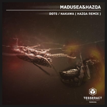 Dots/Nakawa (Hazqa Remix) album by Hazqa - Drum and Bass Cover Art