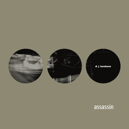 Assassin / The Abyss album by Teebee - Drum and Bass Cover Art