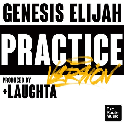 Practice Version album by Conrad Subs & Genesis Elijah - Drum and Bass Cover Art