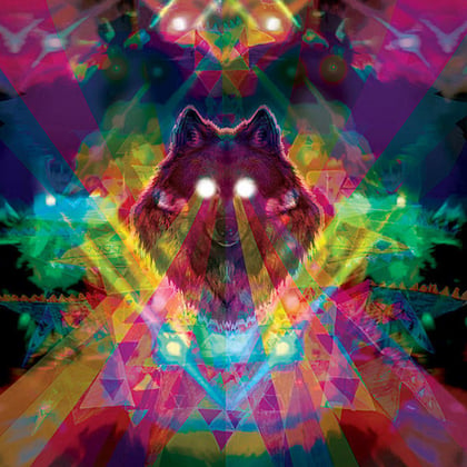 Want to 1 2? (Bonus Track Version) album by Machinedrum - Drum and Bass Cover Art