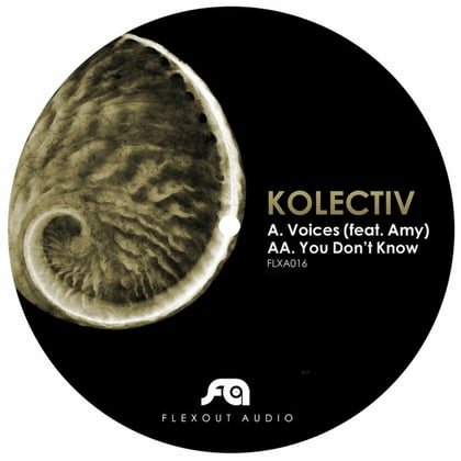 Voices / You Don't Know album by Kolectiv - Drum and Bass Cover Art
