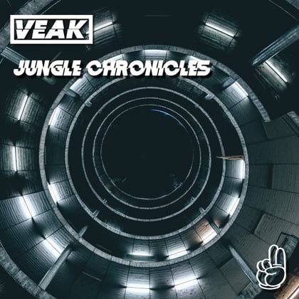 Jungle Chronicles album by Veak - Drum and Bass Cover Art