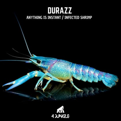 Anything Is Instant / Infected Shrimp album by Durazz - Drum and Bass Cover Art
