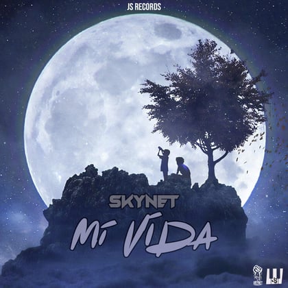 Mi Vida album by Skynet - Drum and Bass Cover Art