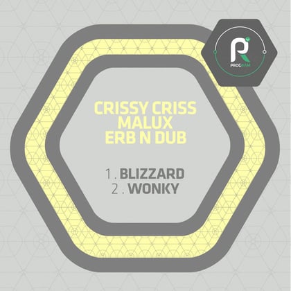 Blizzard / Wonky album by Crissy Criss, Malux & Erb n Dub - Drum and Bass Cover Art