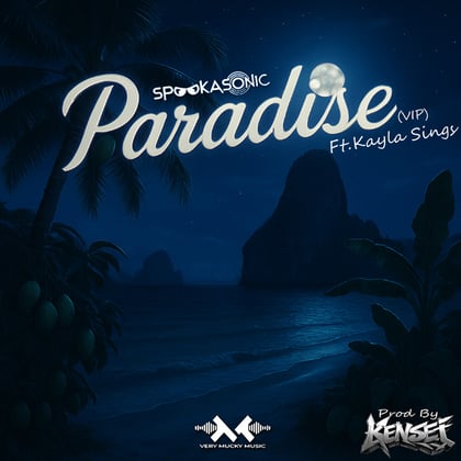 Paradise (VIP) album by Kensei - Drum and Bass Cover Art