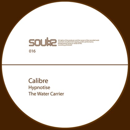 Hypnotise / The Water Carrier album by dBridge & Calibre - Drum and Bass Cover Art