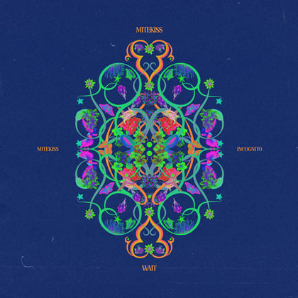 WAIT album by Mitekiss - Drum and Bass Cover Art