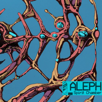 SPIRIT CHAMBER album by ALEPH - Drum and Bass Cover Art