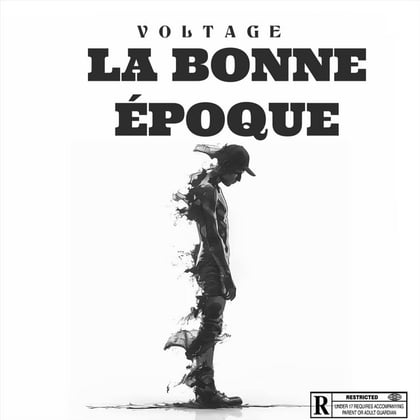 La Bonne Époque album by Voltage - Drum and Bass Cover Art