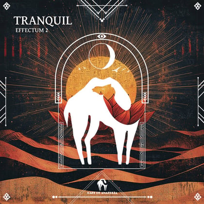 Tranquil album by Tengu, Effectum 2 & Cafe De Anatolia - Drum and Bass Cover Art
