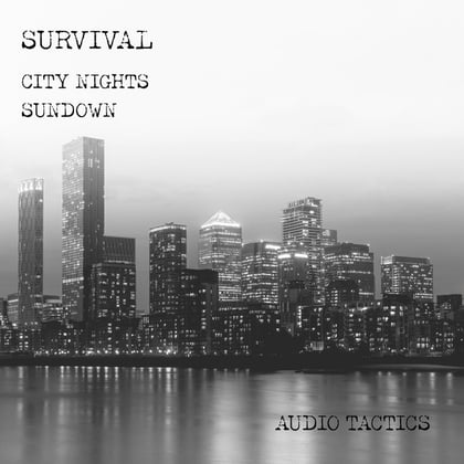 City Nights / Sundown album by Survival - Drum and Bass Cover Art