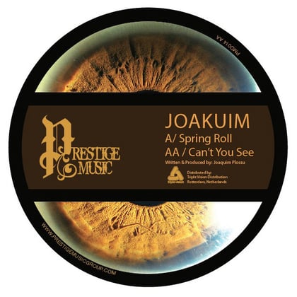 Spring Roll / Can't You See album by Joakuim - Drum and Bass Cover Art