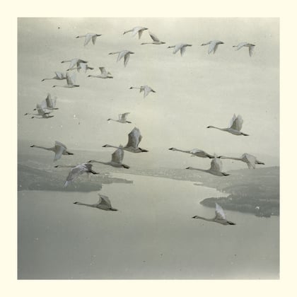 And the World Was Gone album by Calibre, Snow Ghosts & Roly Porter - Drum and Bass Cover Art