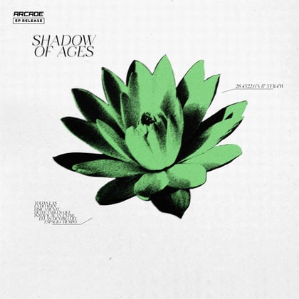 Shadow Of Ages album by Wiguez - Drum and Bass Cover Art