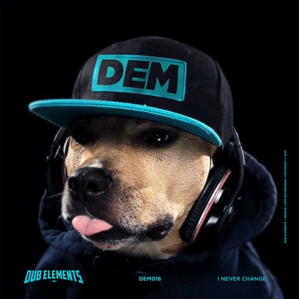 I Never Change album by Dub Elements - Drum and Bass Cover Art