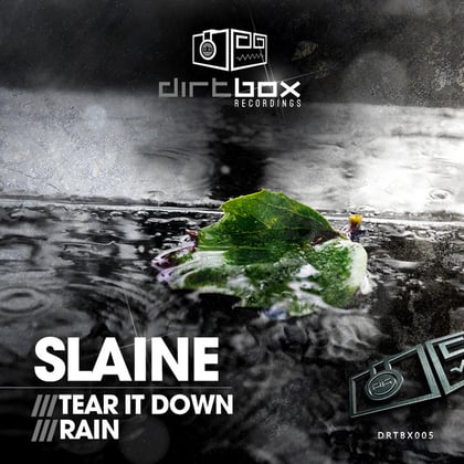 Tear It Down / Rain album by Slaine - Drum and Bass Cover Art