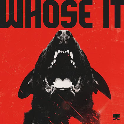 Whose It album by Sustance - Drum and Bass Cover Art
