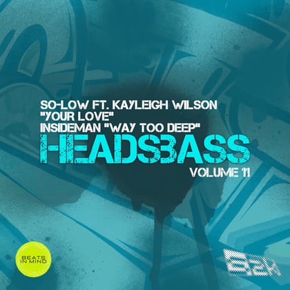 HEADSBASS VOLUME 11 - PART TWO album by Insideman - Drum and Bass Cover Art