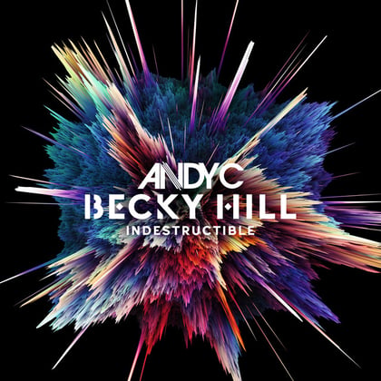 Indestructible (VIP) album by Andy C - Drum and Bass Cover Art