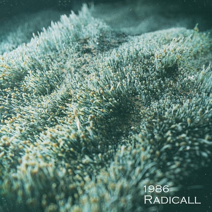 1986 EP album by Radicall - Drum and Bass Cover Art