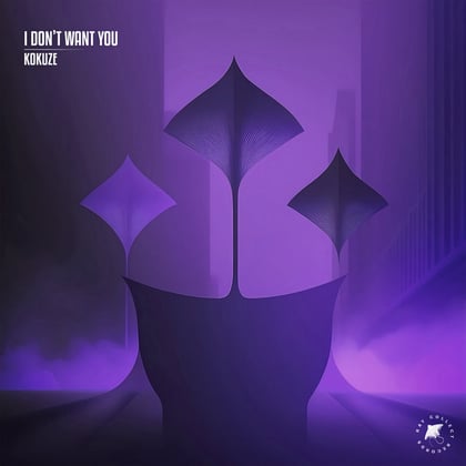 I Don't Want You album by KOKUZE - Drum and Bass Cover Art