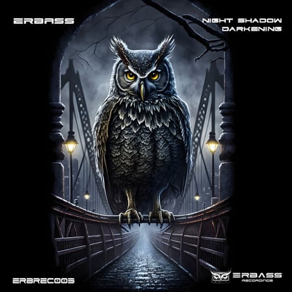 Night Sensation album by ERBass - Drum and Bass Cover Art