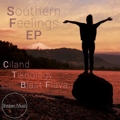 Southern Feelings album by Tiknology - Drum and Bass Cover Art