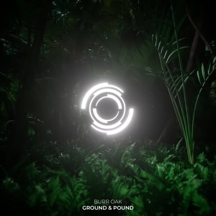 Ground & Pound album by Burr Oak - Drum and Bass Cover Art