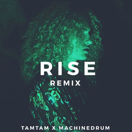 Rise (Remix) album by Machinedrum & Tamtam - Drum and Bass Cover Art