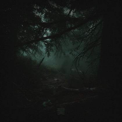 Calgary album by Simula - Drum and Bass Cover Art