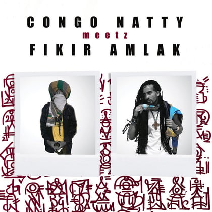 Congo Natty Meetz Fikir Amlak album by Congo Natty - Drum and Bass Cover Art