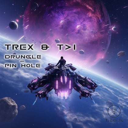 Drungle / Pin Hole album by Trex & T>I - Drum and Bass Cover Art