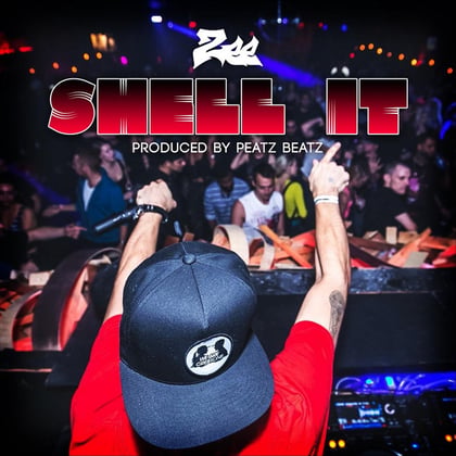 Shell It album by MC Zee - Drum and Bass Cover Art
