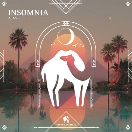 Insomnia album by Tengu, Agassi & Cafe De Anatolia - Drum and Bass Cover Art