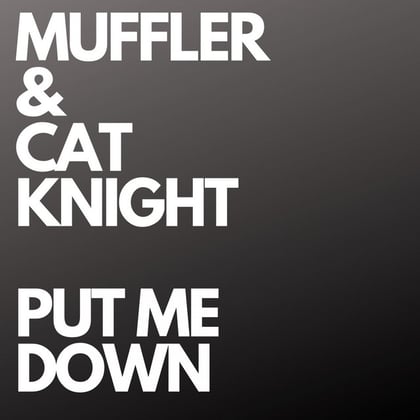 Put Me Down album by Muffler - Drum and Bass Cover Art