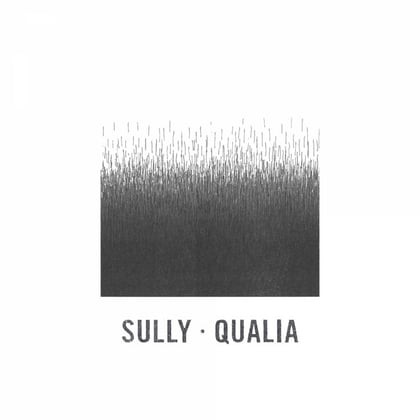 Qualia album by Sully - Drum and Bass Cover Art