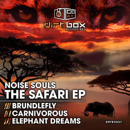 The Safari EP album by Noise Souls - Drum and Bass Cover Art