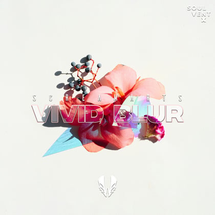 Vivid Blur album by Screamarts - Drum and Bass Cover Art