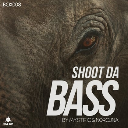 Shoot da Bass album by Mystific - Drum and Bass Cover Art