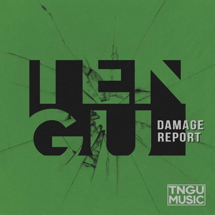 Damage Report album by Tengu - Drum and Bass Cover Art