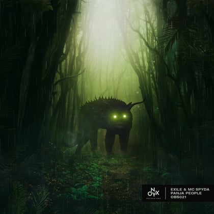 Panja People album by AIRGLO, Exile & MC Spyda - Drum and Bass Cover Art