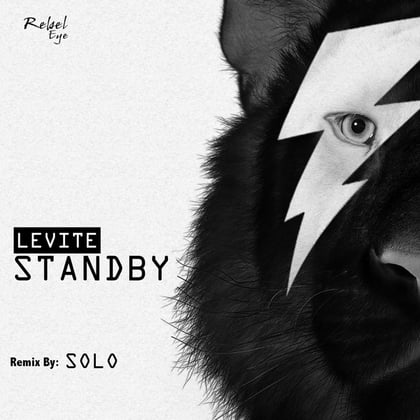 Standby album by Levite - Drum and Bass Cover Art