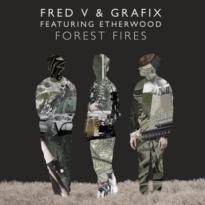 Forest Fires album by Fred V & Grafix - Drum and Bass Cover Art