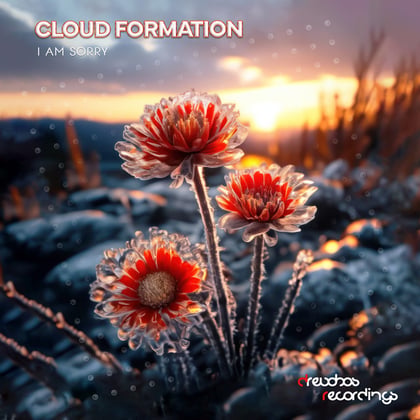 I Am Sorry album by Cloud Formation - Drum and Bass Cover Art