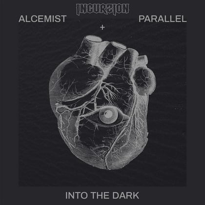 Into The Dark album by Alcemist - Drum and Bass Cover Art