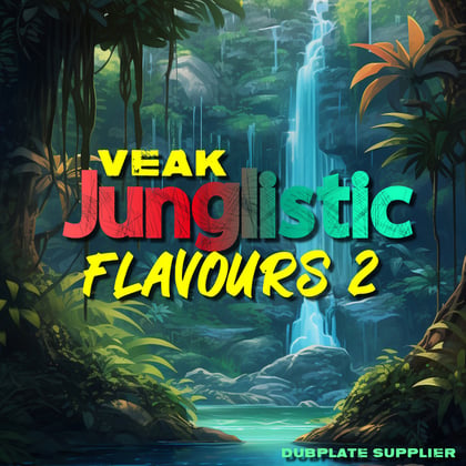 Junglistic Flavours Volume 2 album by Salaryman & Veak - Drum and Bass Cover Art